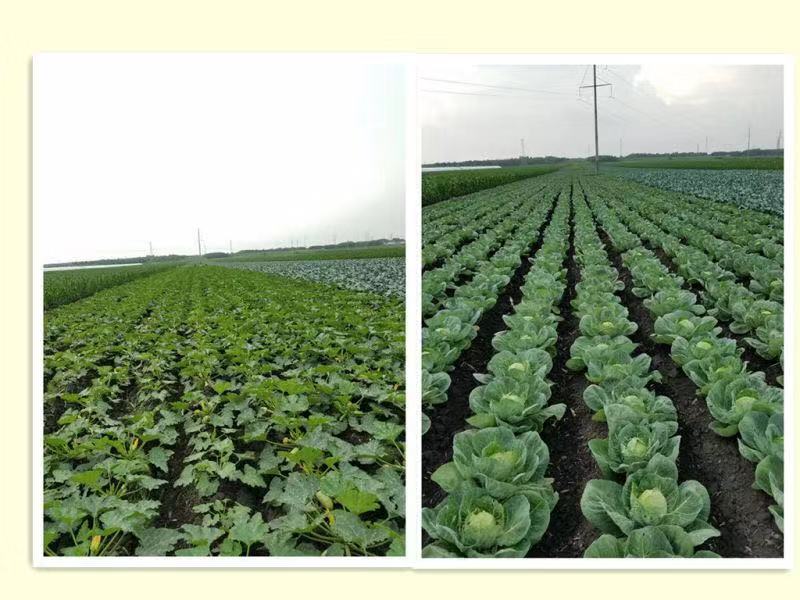 1602301916327598.jpg 微信圖片_20190802145011.jpg