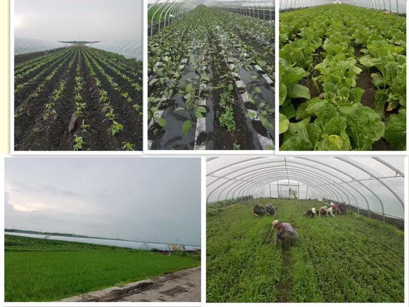 1602301929895433.jpg 微信圖片_20190802145005.jpg